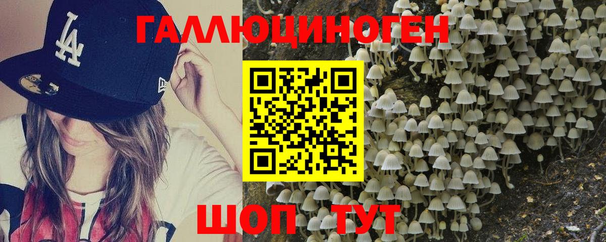 Псилоцибиновые грибы GOLDEN TEACHER  сколько стоит  Калач-на-Дону  Вход с VPN 