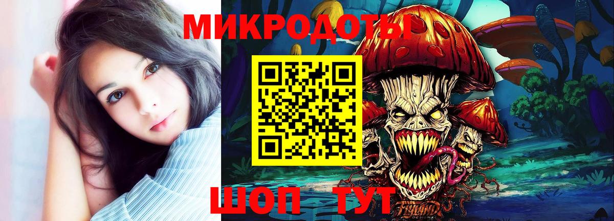 Галлюциногенные грибы Psilocybine cubensis Калач-на-Дону